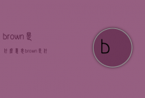 brown是什么意思（brown是什么意思翻译成中文）