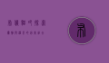 布偶猫吧，探索优雅与温柔的完美结合