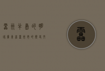 雷州半岛的明珠—广东省雷州市的历史、文化与现代发展