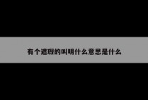 有个遮瑕的叫明什么意思是什么