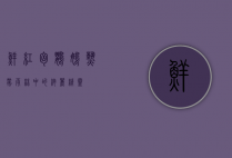 鲜红胸鹦鹉,热带雨林中的绚丽精灵