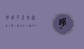 明思克航母，从海上霸主到文化地标的华丽转身