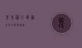 兔兔图片，萌宠世界的视觉盛宴