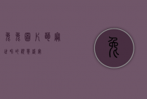 兔兔图片，萌宠世界的视觉盛宴