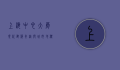 上海中心大厦，现代建筑奇迹与城市地标的象征