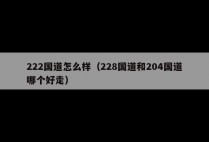 222国道怎么样（228国道和204国道哪个好走）