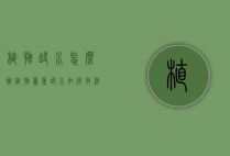 植物缺水怎么办（植物严重缺水如何救活）