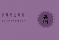 长隆野生动物园全攻略，玩转动物王国的终极指南