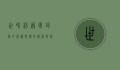 世界杯冠军球队的荣耀与传奇，从历史到现代的辉煌篇章