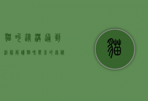 猫叫，从沟通到治愈，解读猫咪声音的奥秘