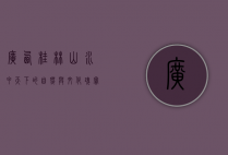 广西桂林，山水甲天下的自然与文化瑰宝