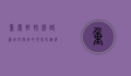 重庆轻轨线路图，城市脉络的现代化演绎