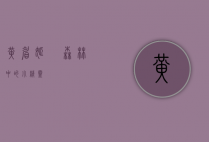 黄眉姬鹟，森林中的小精灵