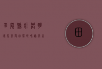 田阳县，壮乡明珠，文化与自然的和谐共生
