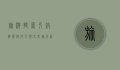 旅游搜索引擎，智能科技引领未来旅行新趋势