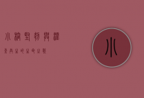 小榕，坚韧与温柔共生的生命之歌