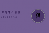 猫头鹰的神秘外貌，自然界的夜行者