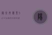 阳泉市苹果5s多少钱（苹果5S换电池多少钱）