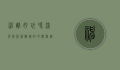 神雕好玩吗？深度解析神雕侠侣的游戏魅力与体验