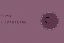 Chester，一座历史与现代交织的英国小镇