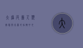 大脑皮层，人类智慧与行为的指挥中心
