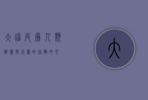 大脑皮层，人类智慧与行为的指挥中心