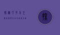 探秘巧克力王国，甜蜜与奇幻的完美交融