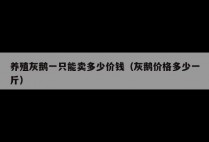 养殖灰鹅一只能卖多少价钱（灰鹅价格多少一斤）