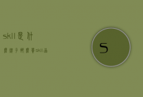 sk-ll是什么牌子那么贵（skll品牌）