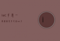 iwc手表一般价格是多少钱（iwc手表贵不贵）