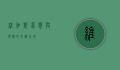维加斯，梦想与现实的交织之地