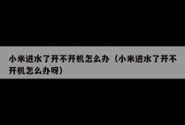 小米进水了开不开机怎么办（小米进水了开不开机怎么办呀）