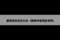 国槐苗有虫怎么办（国槐树苗病虫管理）