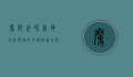 魔兽世界乌龟坐骑，慢速中的独特魅力与收藏价值