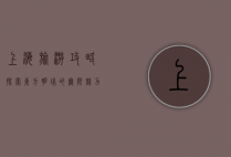 上海旅游攻略，探索东方明珠的无限魅力