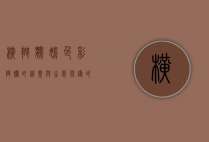 横斑鹦鹉，色彩斑斓的精灵与生态保护的使者