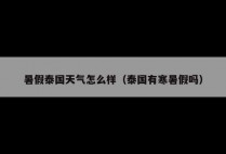 暑假泰国天气怎么样（泰国有寒暑假吗）