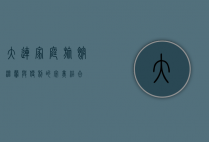 大连家庭旅馆，温馨与便利的完美结合