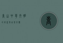 嵩山，中华文明的摇篮与自然奇观