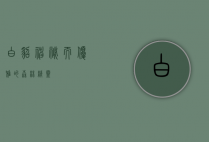 白貂，神秘而优雅的森林精灵
