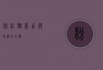 粉红猫，梦幻与现实的交织
