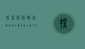 探索格勒诺布尔，法国阿尔卑斯山脉中的明珠