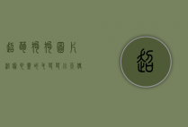 超萌狗狗图片,治愈心灵的毛茸茸小天使