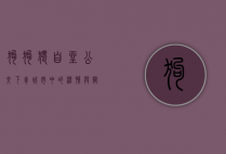 狗狗独自坐公交下车，城市中的温情与智慧