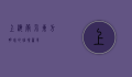 上海简介，东方明珠的璀璨篇章