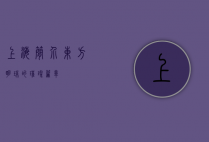 上海简介，东方明珠的璀璨篇章