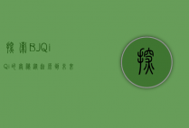 探索BJQiQi的奥秘，从起源到未来发展的全面解析
