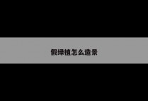 假绿植怎么造景