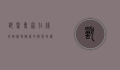 兽医专家在线咨询，宠物健康的智能守护者