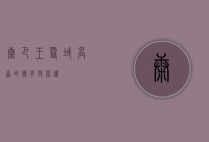 康巴王，雪域高原的传奇与荣耀